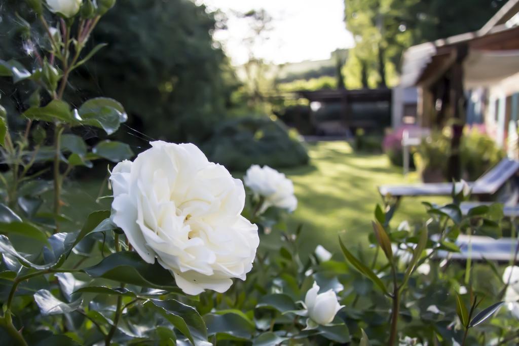 פסארו B&B I Fiori Della Cava מראה חיצוני תמונה