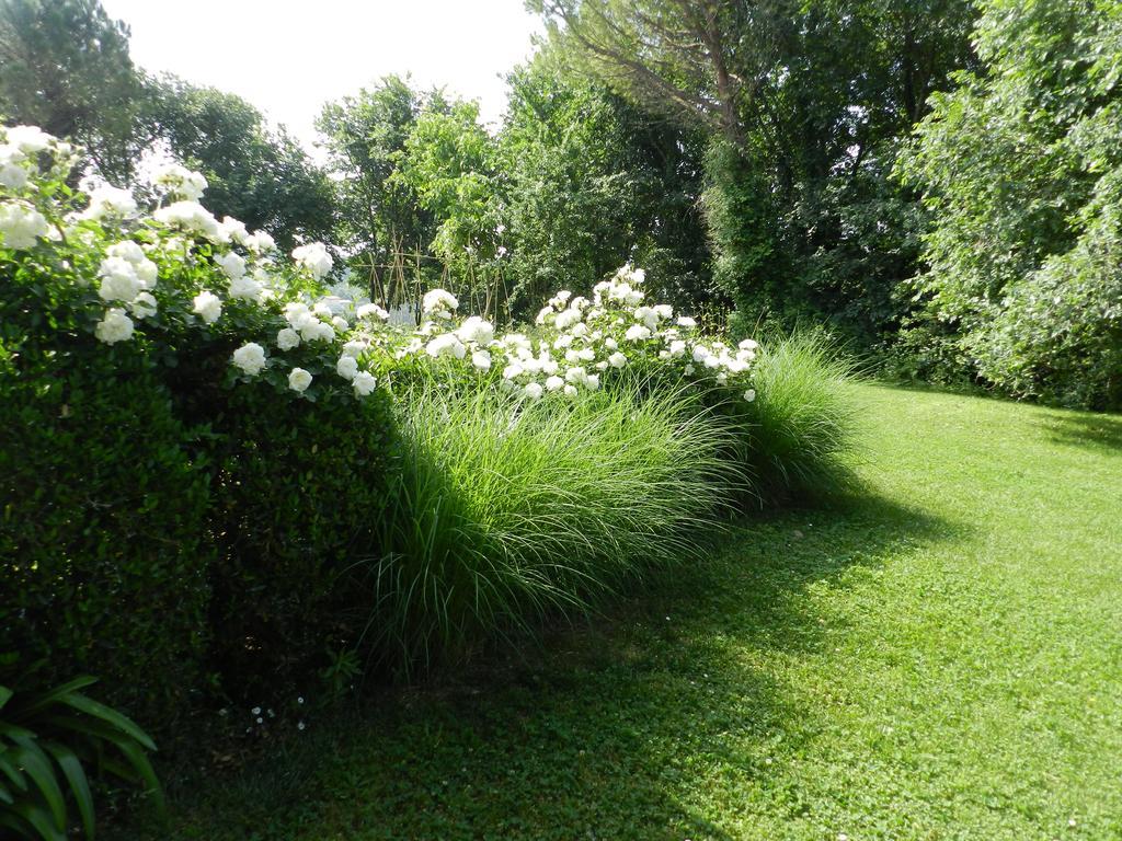 פסארו B&B I Fiori Della Cava מראה חיצוני תמונה